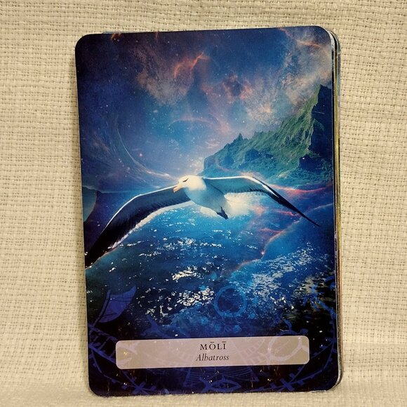 The Hawaiian Oracle - Picture 13 of 14